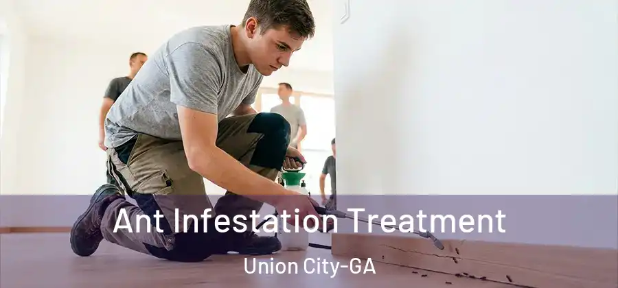 Ant Infestation Treatment Union City-GA