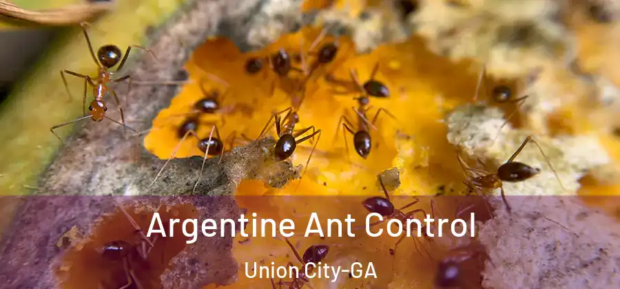 Argentine Ant Control Union City-GA