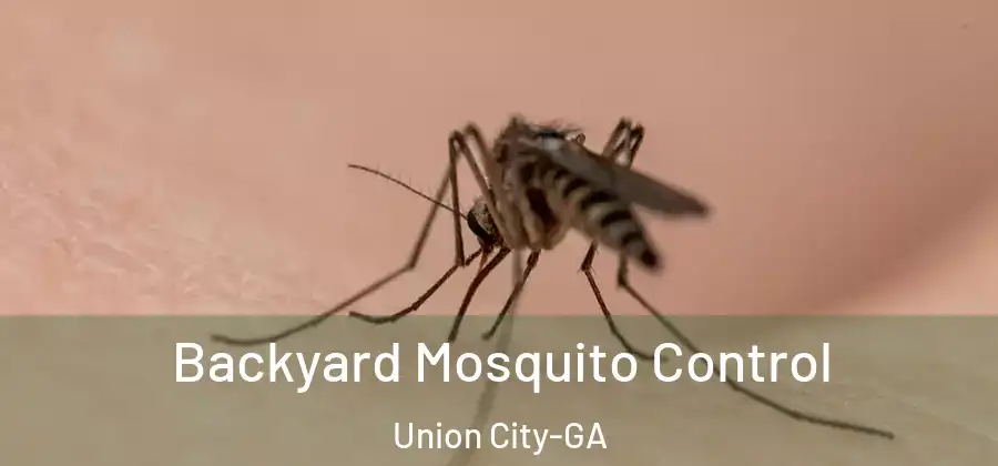 Backyard Mosquito Control Union City-GA