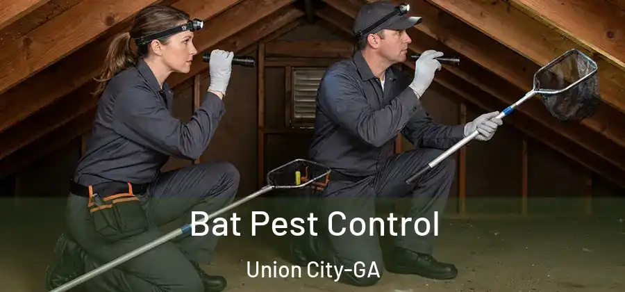 Bat Pest Control Union City-GA