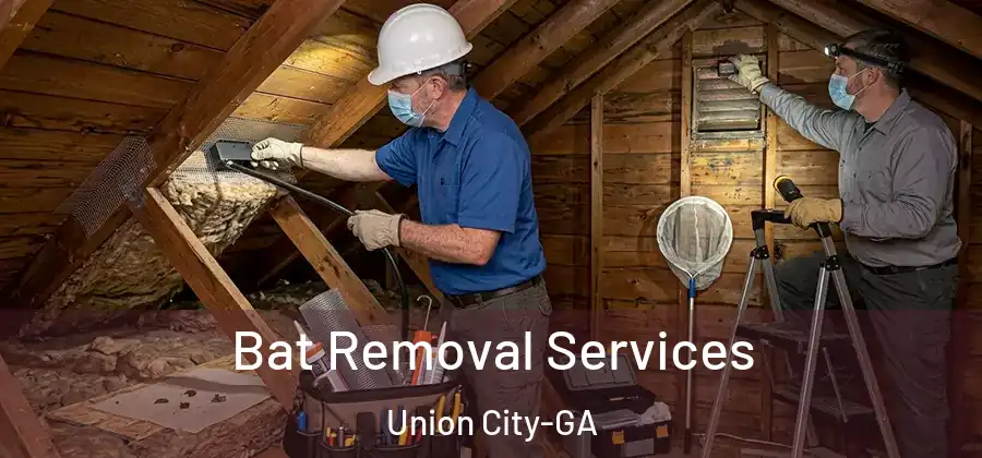 Bat Removal Services Union City-GA