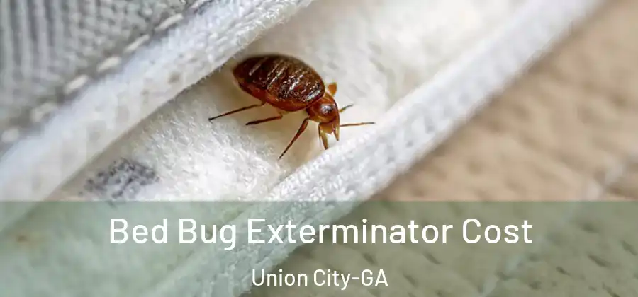Bed Bug Exterminator Cost Union City-GA