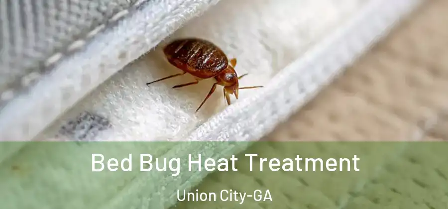 Bed Bug Heat Treatment Union City-GA