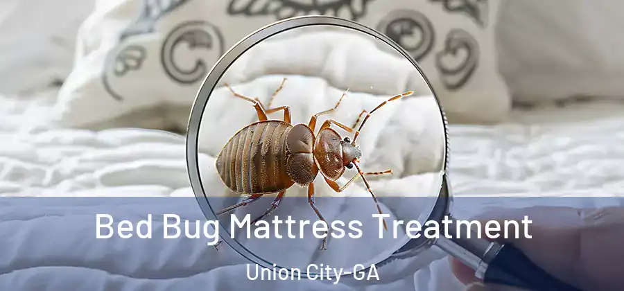 Bed Bug Mattress Treatment Union City-GA