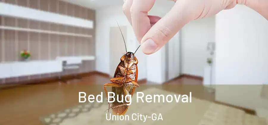 Bed Bug Removal Union City-GA