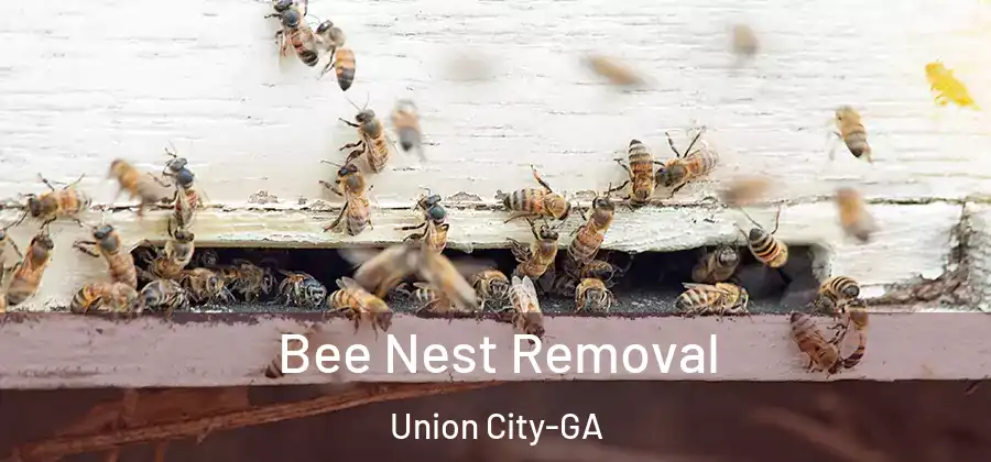 Bee Nest Removal Union City-GA