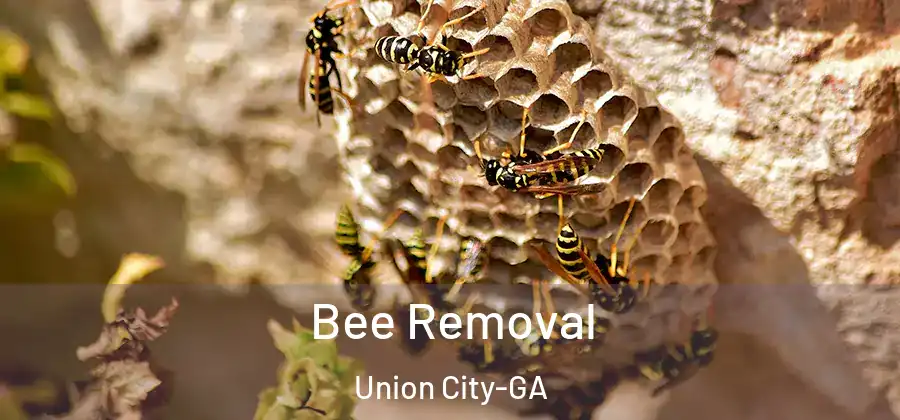 Bee Removal Union City-GA