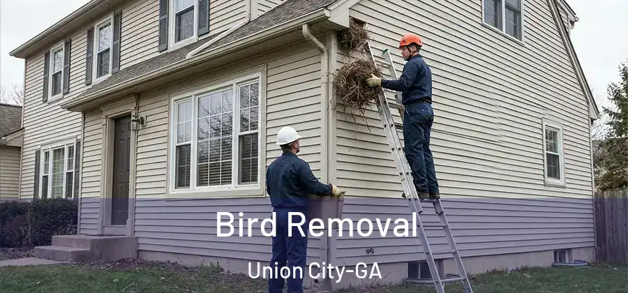 Bird Removal Union City-GA
