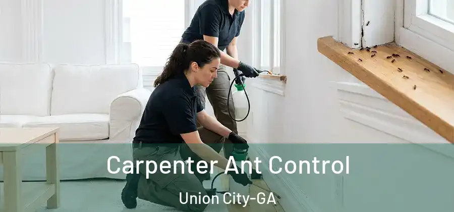 Carpenter Ant Control Union City-GA
