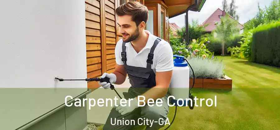  Carpenter Bee Control Union City-GA