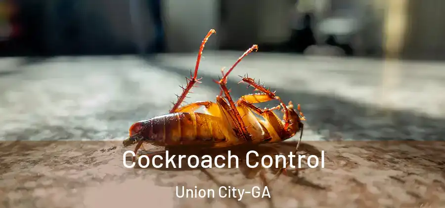 Cockroach Control Union City-GA