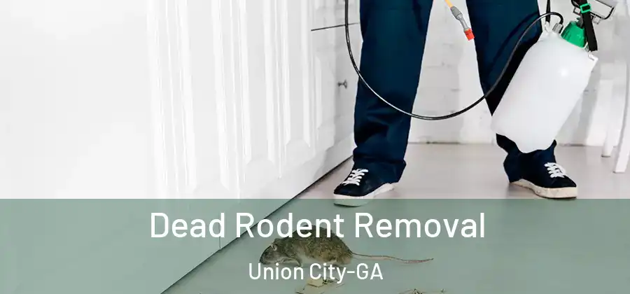 Dead Rodent Removal Union City-GA