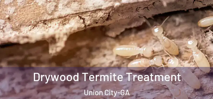 Drywood Termite Treatment Union City-GA