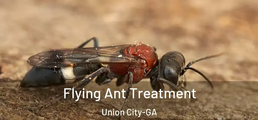 Flying Ant Treatment Union City-GA