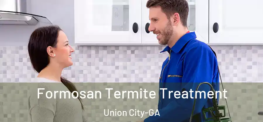  Formosan Termite Treatment Union City-GA