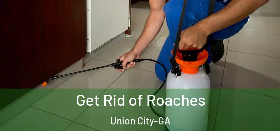 Get Rid of Roaches Union City-GA