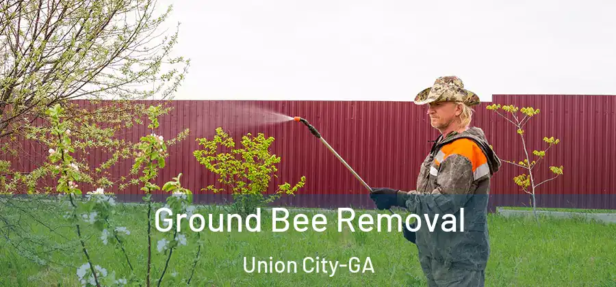  Ground Bee Removal Union City-GA