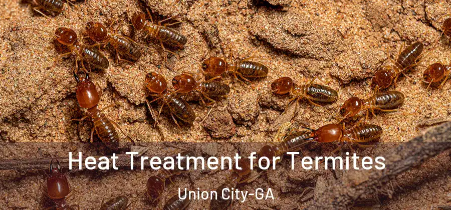 Heat Treatment for Termites Union City-GA