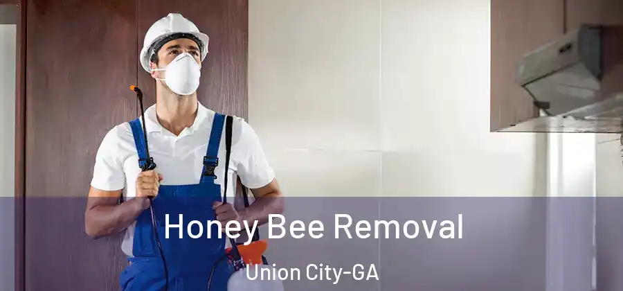 Honey Bee Removal Union City-GA