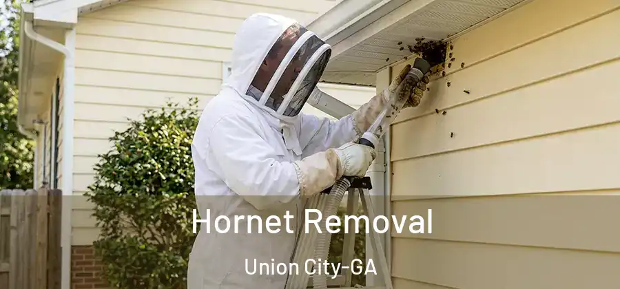 Hornet Removal Union City-GA