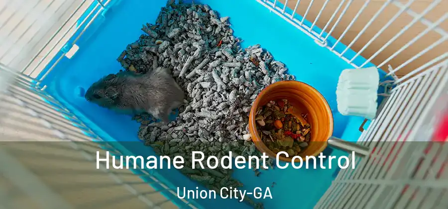 Humane Rodent Control Union City-GA