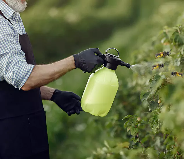 Your Carpenter Bee Service in Union City, GA