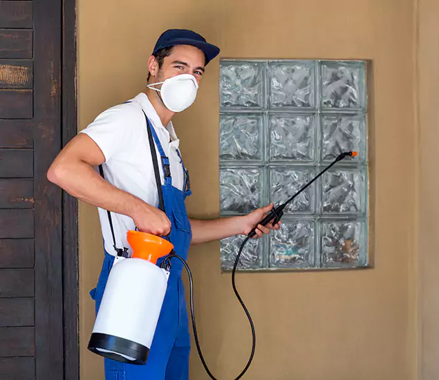 Your Reliable Pest Control in Union City, GA