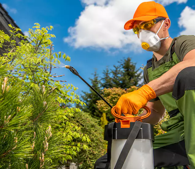 Your Mosquito Repellent Barrier Service in Union City, GA