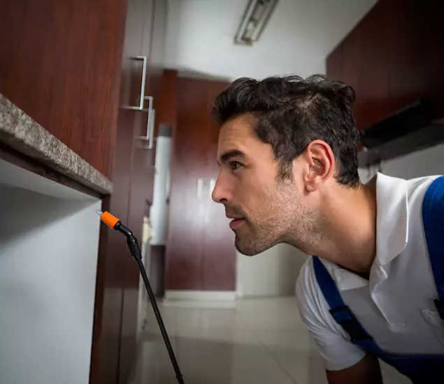 Termite Inspection Cost Experts You Can Trust in Union City, GA