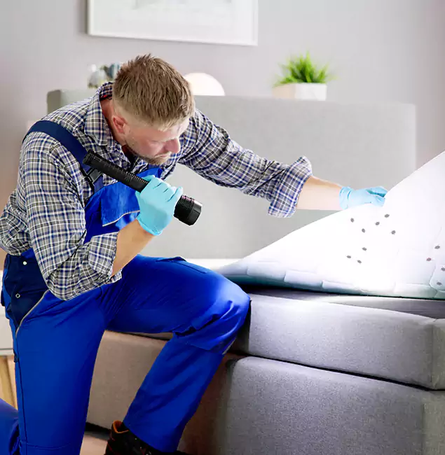Why Choose Union City Pest Control Pro For Bed Bug Heat Treatment in Union City, GA?
