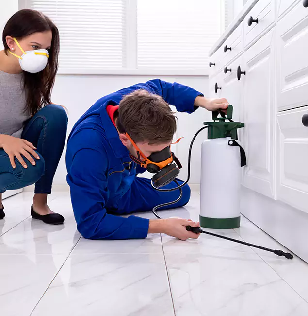 Why Union City, GA Homeowners Trust Union City Pest Control Pro for Roach Control?
