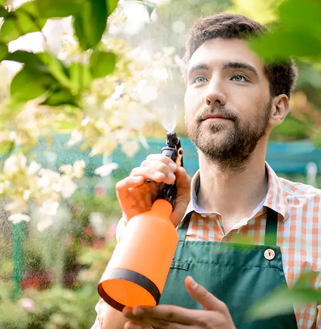 Why Union City Homeowners Call Union City Pest Control Pro for Mosquitoes in House?