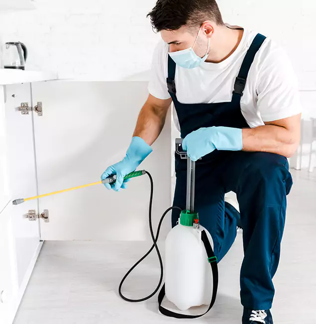 Why Choose Union City Pest Control Pro for Termite Spot Treatment in Union City, GA?