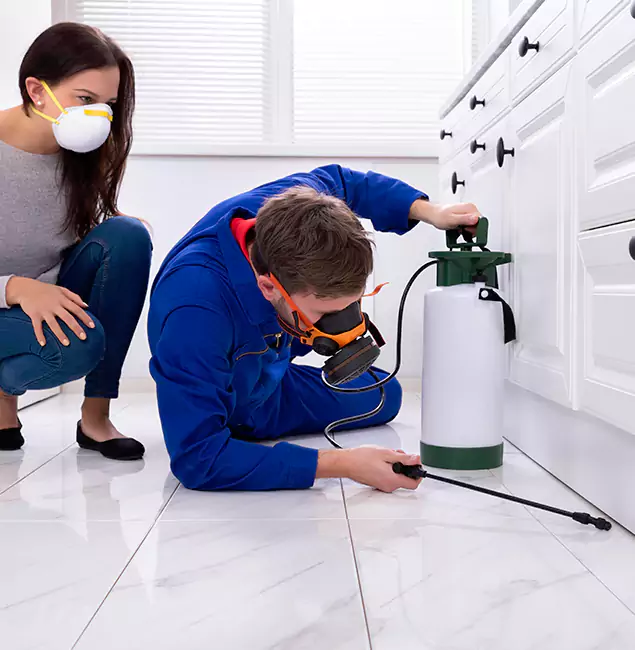 Why Choose Wood Termite Treatment by Union City Pest Control Pro in Union City, GA?