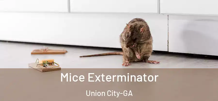 Mice Exterminator Union City-GA