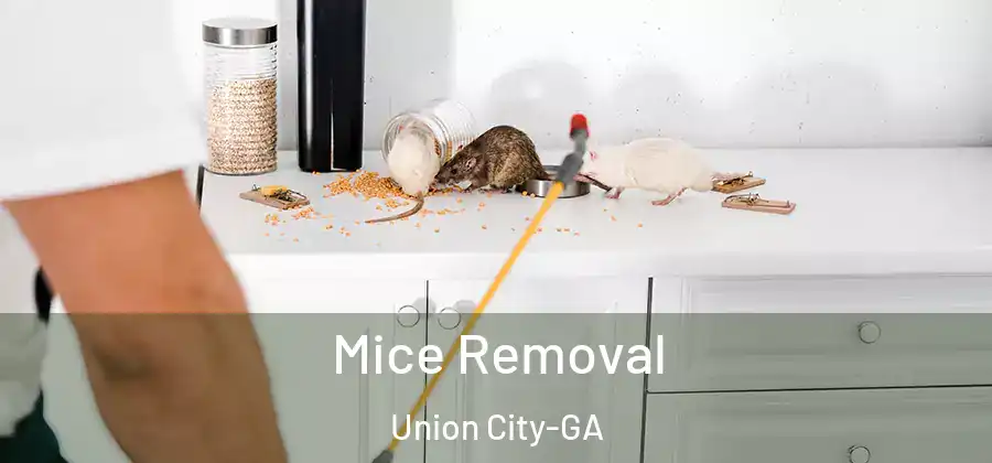 Mice Removal Union City-GA