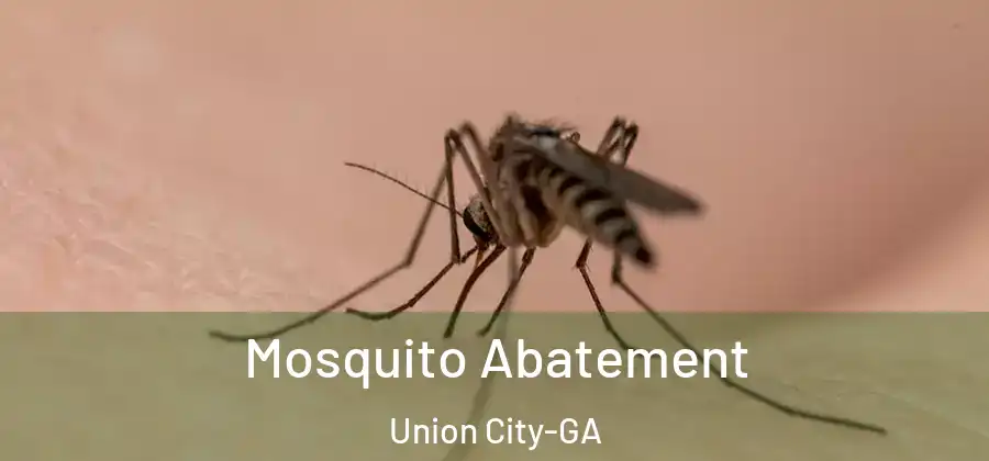 Mosquito Abatement Union City-GA