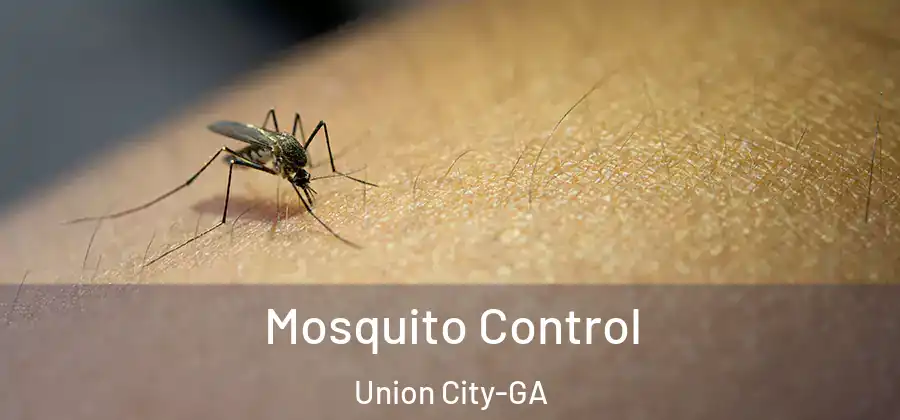 Mosquito Control Union City-GA