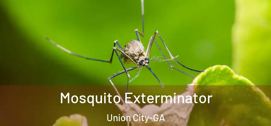 Mosquito Exterminator Union City-GA