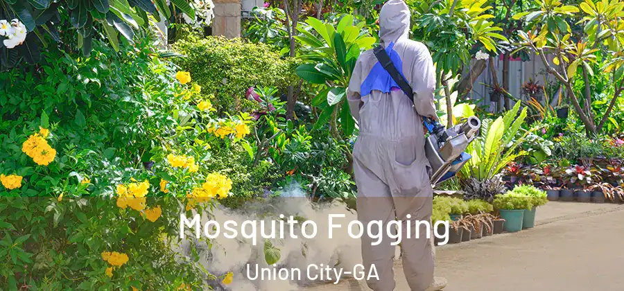 Mosquito Fogging Union City-GA