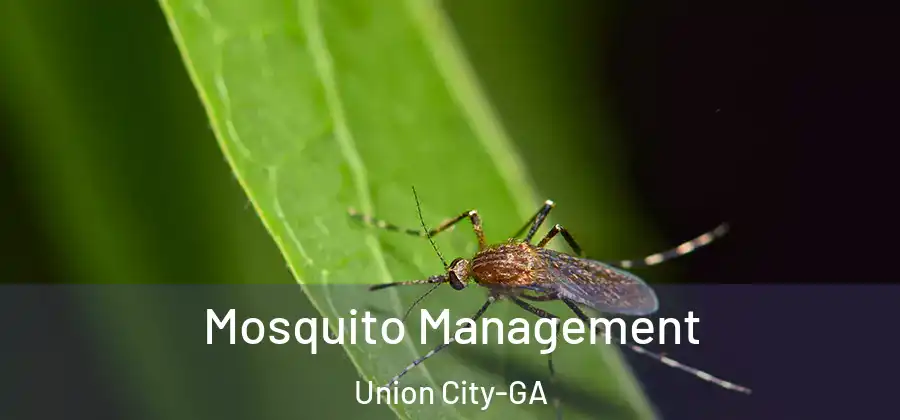 Mosquito Management Union City-GA