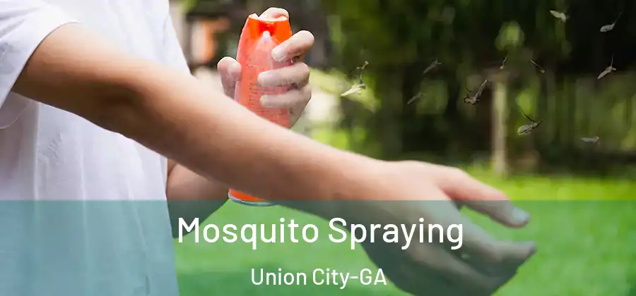 Mosquito Spraying Union City-GA