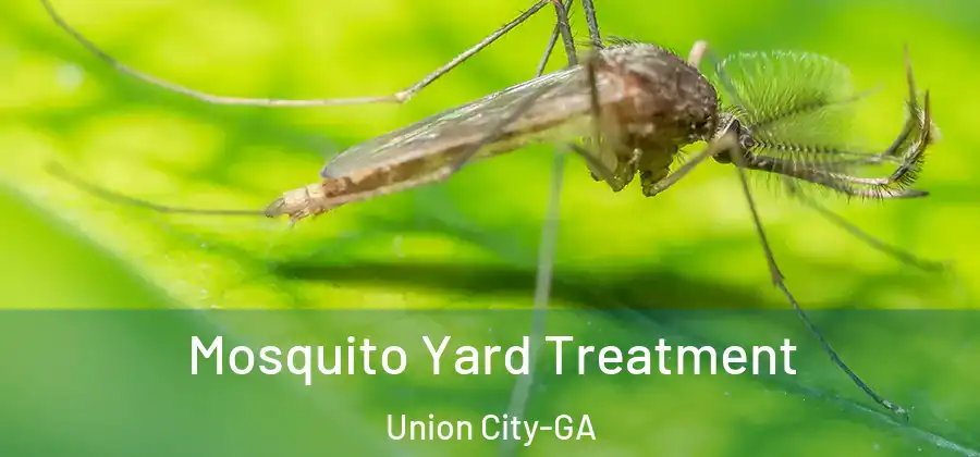 Mosquito Yard Treatment Union City-GA