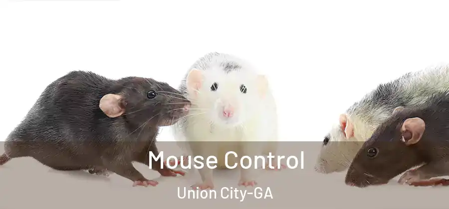 Mouse Control Union City-GA