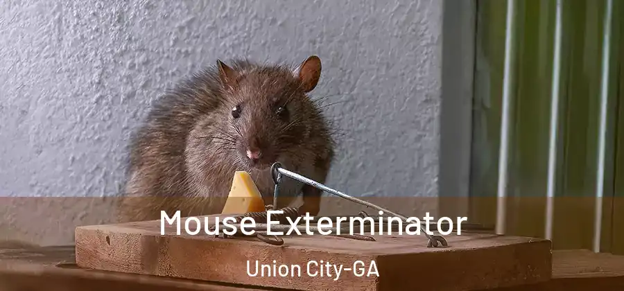 Mouse Exterminator Union City-GA