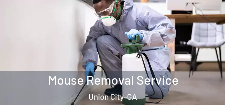 Mouse Removal Service Union City-GA