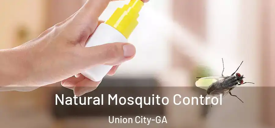 Natural Mosquito Control Union City-GA