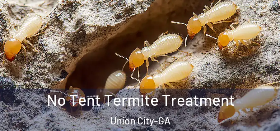  No Tent Termite Treatment Union City-GA