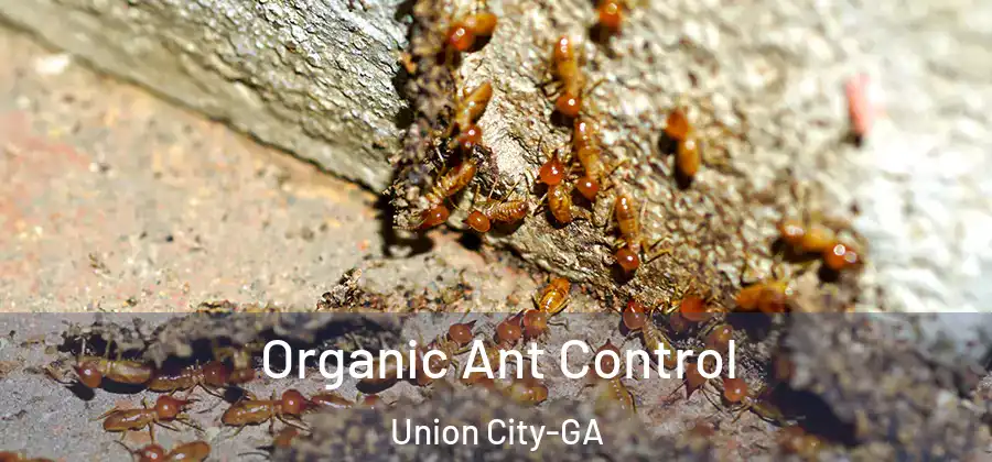 Organic Ant Control Union City-GA