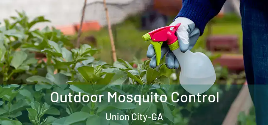 Outdoor Mosquito Control Union City-GA